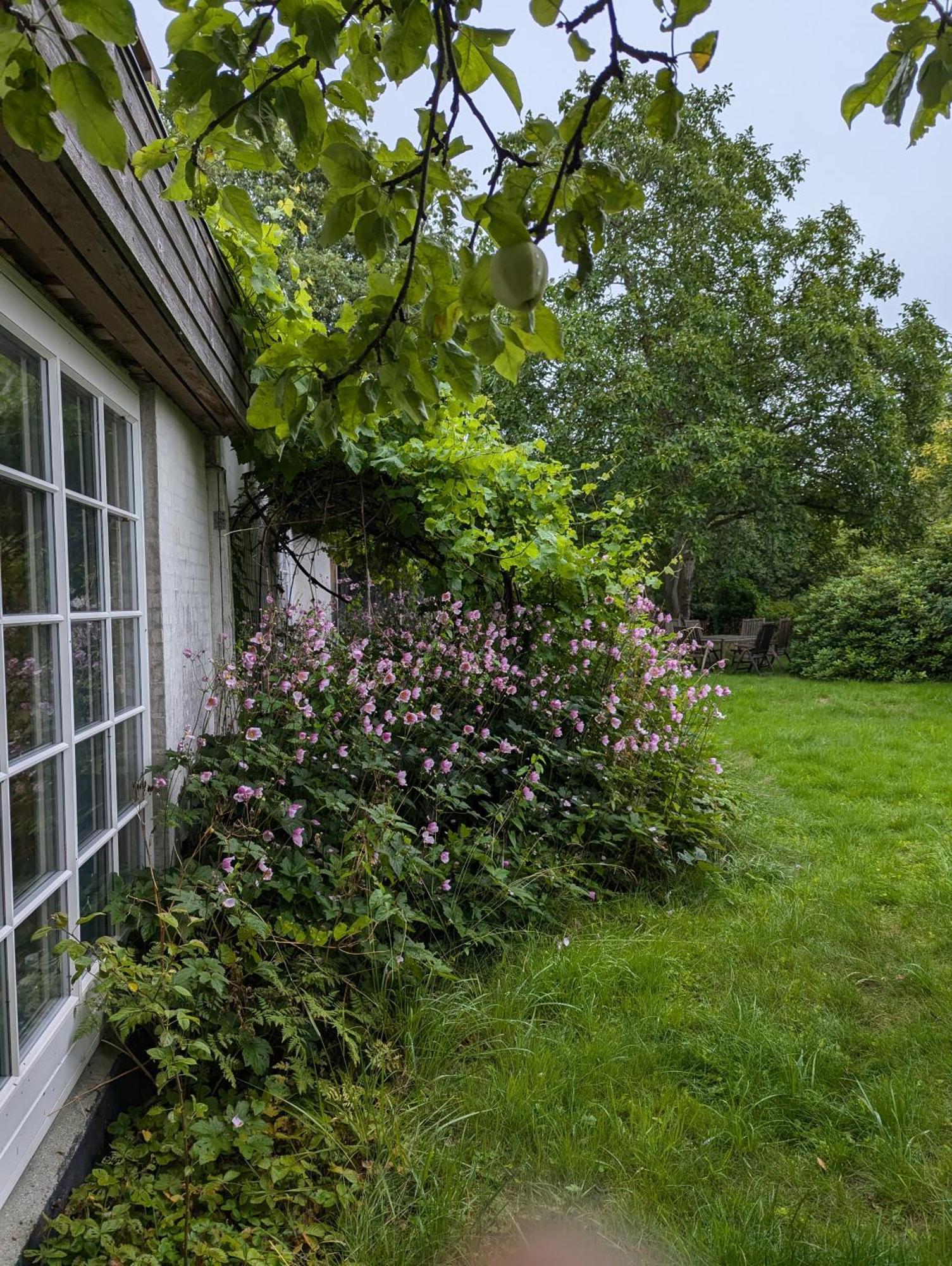 Lejlighed Ved Skov Græsted Exterior photo