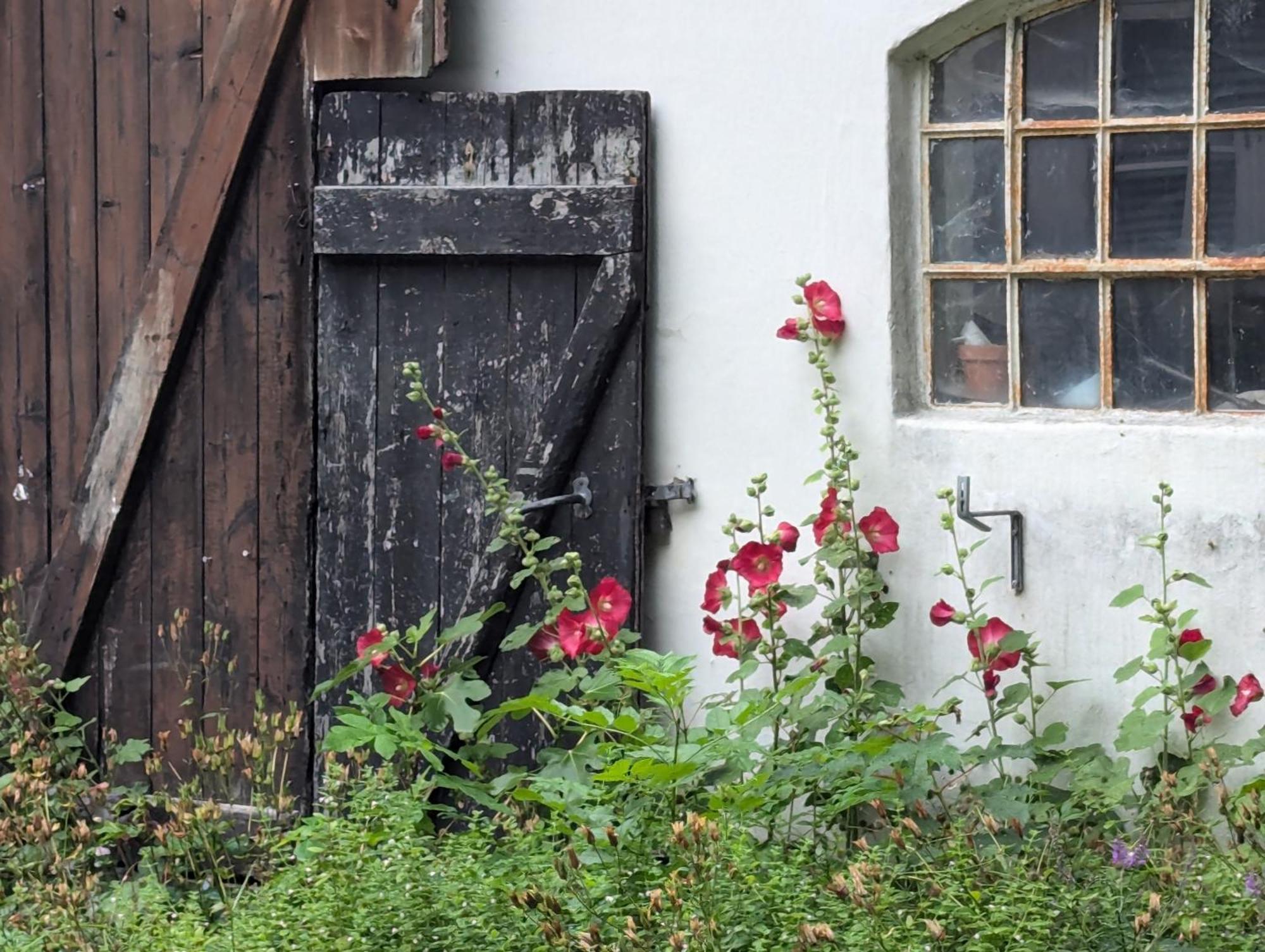 Lejlighed Ved Skov Græsted Exterior photo